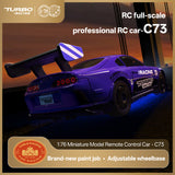 Turbo Racing C73 1:76  2.4G Sports Mini RWD RC Racing Car RTR - Purple